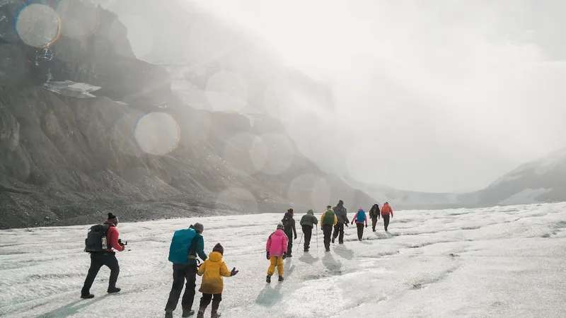 A guided group walking in single file across the Athabasca Glacier on an IceWalks hike